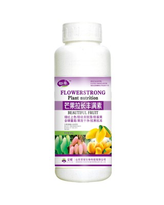 芒果拉长丰满素